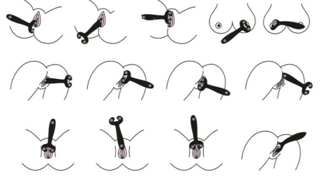 Wielofunkcyjny Wibrator dla Pań i Masażer dla Pana Endless Fun Multi 