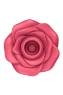 Śliczny Masażer Łechtaczki Pro 2 Classic Rose