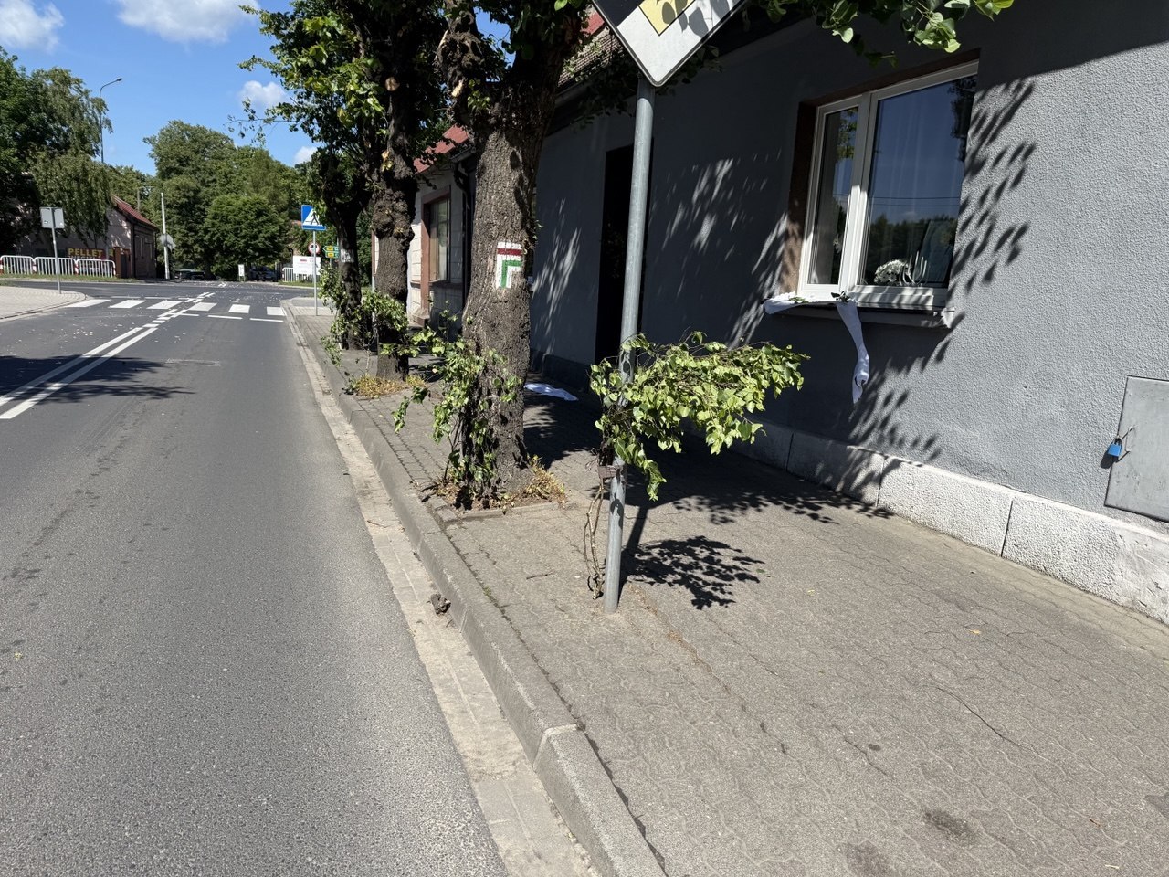 Kiedy nawet Lipa jest niewystarczająca!